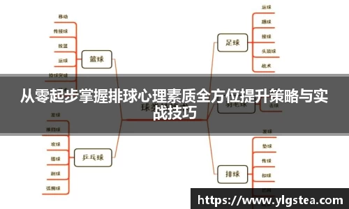 从零起步掌握排球心理素质全方位提升策略与实战技巧