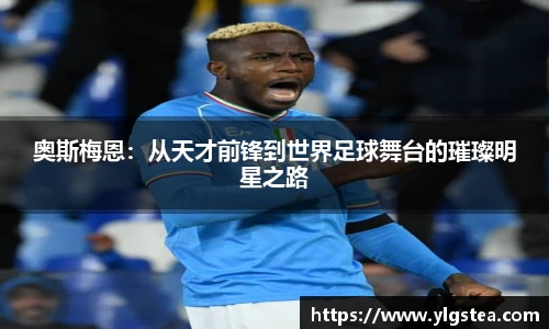 bellbet贝博官方网站
