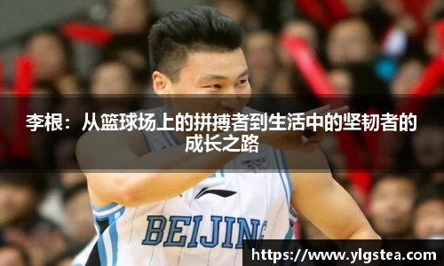 bellbet贝博官网