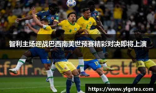 bellbet贝博官网